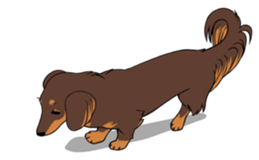 There is a dachshund together. sticker #11228419