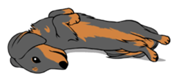 There is a dachshund together. sticker #11228421