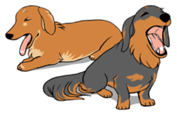 There is a dachshund together. sticker #11228423