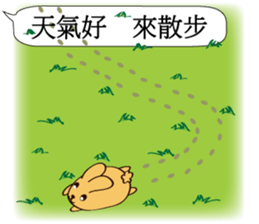 Chat raise rabbits Machi (brand new) sticker #11231388