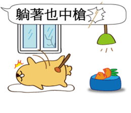 Chat raise rabbits Machi (brand new) sticker #11231389