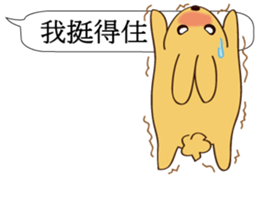 Chat raise rabbits Machi (brand new) sticker #11231411