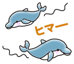 Sticker of a cute dolphin <summer> sticker #11231932
