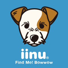 iinu - Parson Russell Terrier