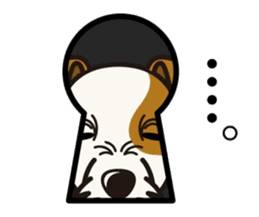 iinu - Parson Russell Terrier sticker #11232395