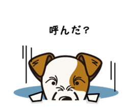 iinu - Parson Russell Terrier sticker #11232397