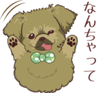 Tibetan spaniel 3 sticker #11233030