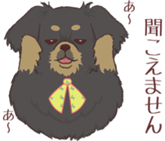 Tibetan spaniel 3 sticker #11233033