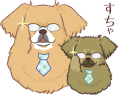 Tibetan spaniel 3 sticker #11233038