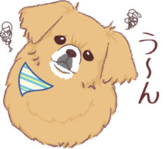 Tibetan spaniel 3 sticker #11233045