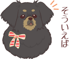 Tibetan spaniel 3 sticker #11233048