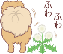 Tibetan spaniel 3 sticker #11233051