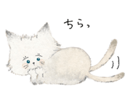 Gray kitten sticker #11233113