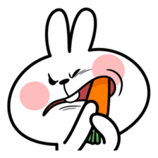 Spoiled Rabbit "Face2" sticker #11233164