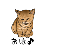 hukidasi nekodarake sticker #11235390