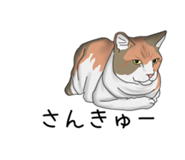 hukidasi nekodarake sticker #11235391