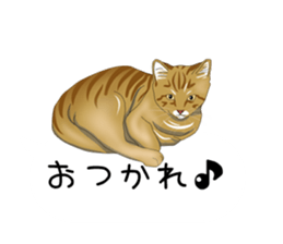 hukidasi nekodarake sticker #11235392