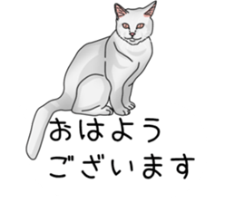 hukidasi nekodarake sticker #11235394