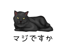 hukidasi nekodarake sticker #11235395