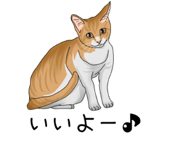 hukidasi nekodarake sticker #11235402