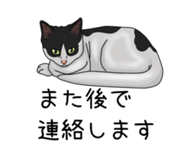 hukidasi nekodarake sticker #11235414