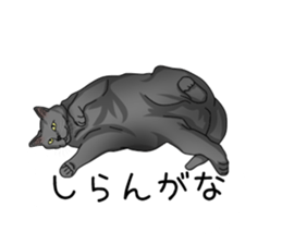 hukidasi nekodarake sticker #11235415