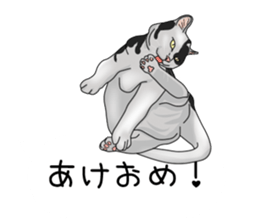 hukidasi nekodarake sticker #11235420
