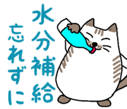 Daily conversation of Fat cat Hassaku sticker #11235592