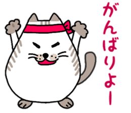 Daily conversation of Fat cat Hassaku sticker #11235603