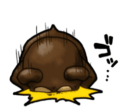 The Sun bear(No Lines) sticker #11236613