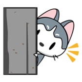Est the funny cat sticker #11237282