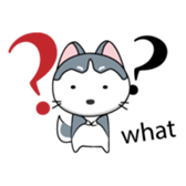 Est the funny cat sticker #11237289