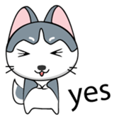 Est the funny cat sticker #11237303