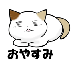 MIYAGERUMIKEKONO sticker #11239353