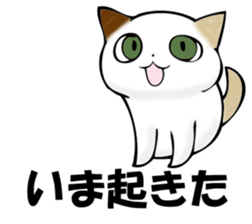 MIYAGERUMIKEKONO sticker #11239355