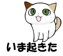MIYAGERUMIKEKONO sticker #11239355