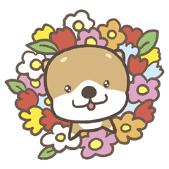 Cute dog PERO-SUKE 2