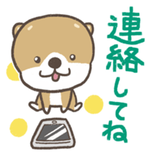 Cute dog PERO-SUKE 2 sticker #11240489