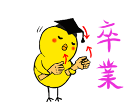 Let's talk in Hiyochan and signlanguage! sticker #11241024