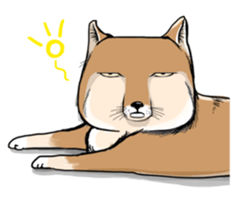 Orange comic-Tibetan Fox's true feelings sticker #11242093