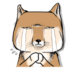 Orange comic-Tibetan Fox's true feelings sticker #11242096