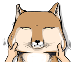 Orange comic-Tibetan Fox's true feelings sticker #11242098