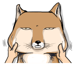 Orange comic-Tibetan Fox's true feelings sticker #11242098