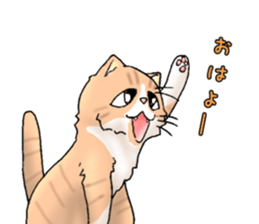 Exotic every day the second day sticker #11243752