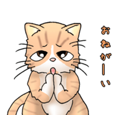 Exotic every day the second day sticker #11243755