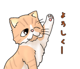 Exotic every day the second day sticker #11243765