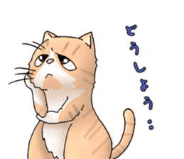 Exotic every day the second day sticker #11243767