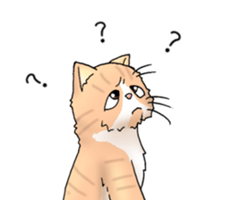 Exotic every day the second day sticker #11243773