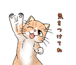 Exotic every day the second day sticker #11243781