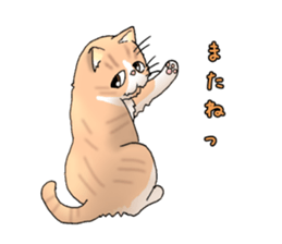 Exotic every day the second day sticker #11243785